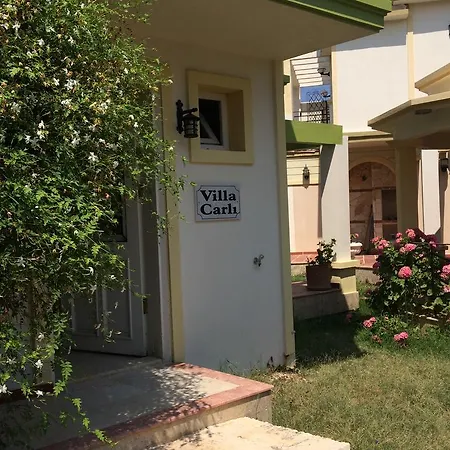 Villacarli *